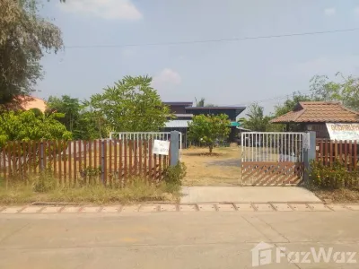 /international/th/บ้านคอกวัว-เขาทราย-ทับคล้อ-พิจิตร-66230-ประเทศไทย-ทับคล้อ-340066018109/