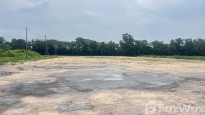 /international/th/สมร-มุ่งหมาย-บางอ้อ-บ้านนา-นครนายก-26110-ประเทศไทย-บ้านนา-chaiyaphum-340065859874/