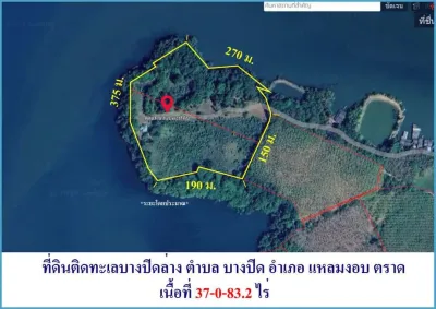 /international/th/โรงแรมไซปิน-บางปิด-แหลมงอบ-ตราด-23120-ประเทศไทย-แหลมงอบ-340000126321/