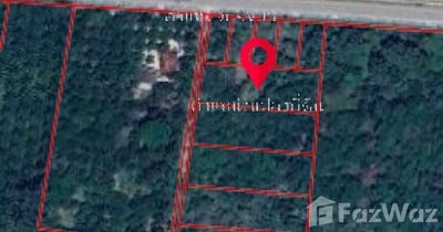 /international/th/ทางหลวงชนบท-นศ-4046-ขุนทะเล-ลานสกา-นครศรีธรรมราช-80230-ประเทศไทย-ลานสกา-340000090662/