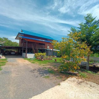 /international/th/311-บ้านกล้วย-ชัยนาท-17000-ประเทศไทย-ชัยนาท-340000111518/