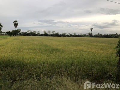 /international/th/ทางหลวงชนบท-ชน-4050-โพงาม-สรรคบุรี-ชัยนาท-17140-ประเทศไทย-สรรคบุรี-340065838793/