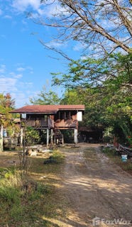 /international/th/ทีอาร์-แอกโร-เทค-หนองพยอม-ตะพานหิน-พิจิตร-66110-ประเทศไทย-ตะพานหิน-340000151311/