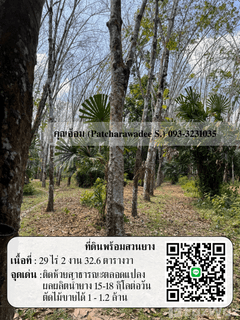 /international/th/จะนะ-สงขลา-90130-ประเทศไทย-จะนะ-340000140811/