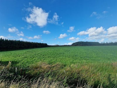 /international/ie/newtown-doonbeg-clare-210065616012/
