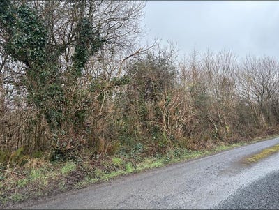 /international/ie/land-wood-0-90ha-2-22-acres-doonbeg-road-kilrush-clare-210066034933/