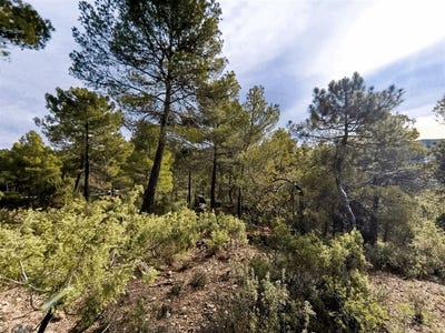 /international/es/moratalla-spain-210066037793/