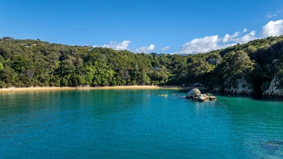 /international/nz/180-tokongawa-drive-kaiteriteri-tasman-380066079825/
