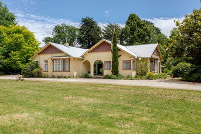 /international/nz/78286-state-highway-ii-dannevirke-tararua-380066084961/