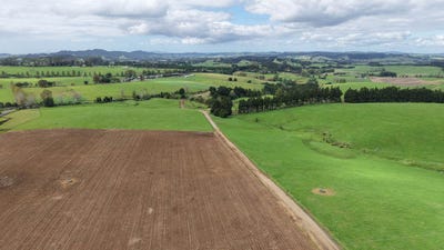 /international/nz/768a-b-te-ahu-ahu-road-waimate-north-far-north-380066077288/