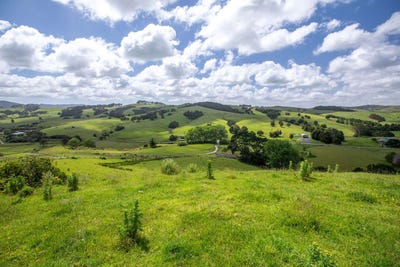 /international/nz/448-komokoriki-hill-road-makarau-rodney-380066098644/