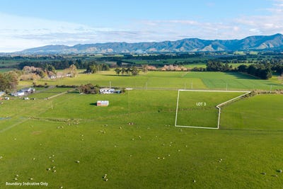 /international/nz/dannevirke-tararua-380066167417/