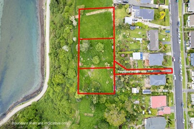 /international/nz/port-chalmers-dunedin-city-380066094948/
