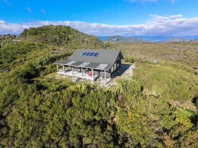 /international/nz/charleston-buller-380066112485/