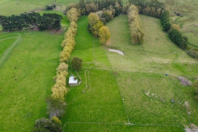 /international/nz/145-umutaoroa-road-dannevirke-tararua-380066083645/