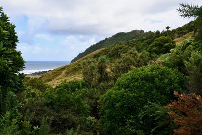 /international/nz/904-karamea-kohaihai-road-karamea-buller-380066107722/