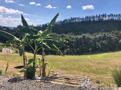/international/nz/280-aucks-road-russell-far-north-380066116122/