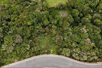 /international/nz/13-ara-paekawakawa-island-bay-wellington-city-380066179112/