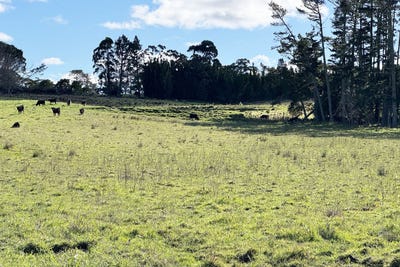 /international/nz/11-bobs-way-dairy-flat-rodney-380066086326/
