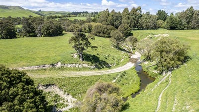 /international/nz/martinborough-south-wairarapa-380066076154/