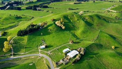 /international/nz/30-mangahei-road-dannevirke-tararua-380066177112/