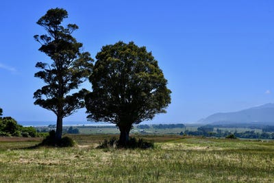 /international/nz/karamea-buller-380066102038/
