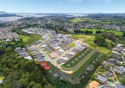 /international/nz/ohauiti-tauranga-380066118585/