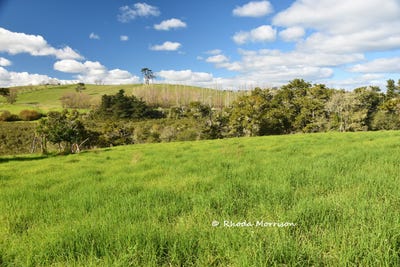 /international/nz/7-te-tonga-road-matakohe-kaipara-380066100764/