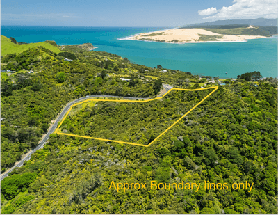 /international/nz/0-pt-waiwhatawhata-1a3-state-highway-12-omapere-far-north-380066084240/