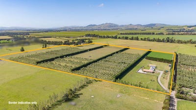 /international/nz/206-mount-brown-road-amberley-hurunui-380066086514/