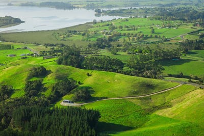 /international/nz/ararua-road-matakohe-kaipara-380066085285/