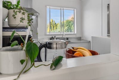 /international/nz/14-thornton-road-cambridge-waipa-380066099472/
