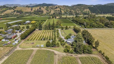 /international/nz/444-paton-road-hope-tasman-380066084075/