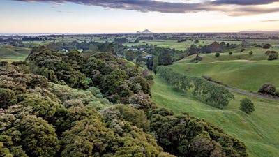 /international/nz/70c-withy-road-manawahe-whakatane-380066087128/