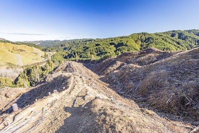 /international/nz/owhango-ruapehu-380066076000/