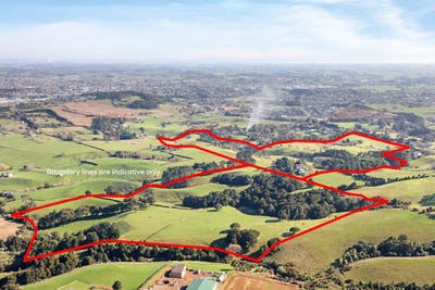 /international/nz/140-pukekohe-east-road-pukekohe-franklin-380066080944/