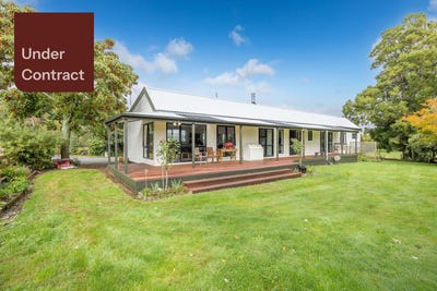 /international/nz/gordonton-waikato-380066113023/