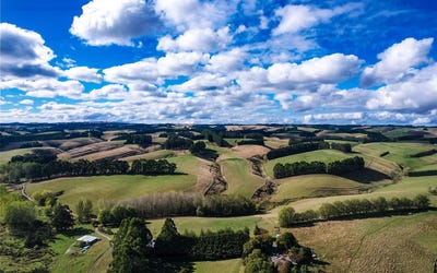 /international/nz/144-block-road-greenfield-clutha-380066076360/