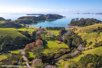 /international/nz/kaeo-far-north-380066169595/