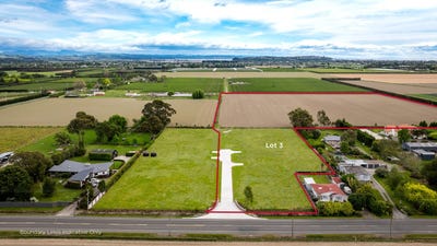 /international/nz/meeanee-napier-city-380066102858/