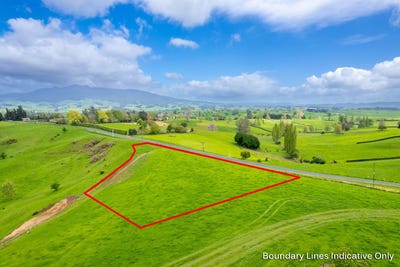 /international/nz/pirongia-waipa-380066115587/
