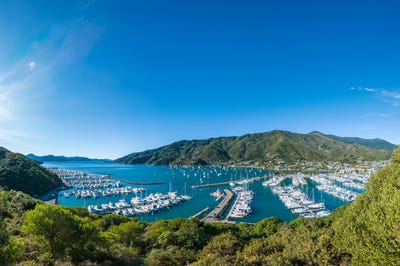 /international/nz/37-marina-drive-waikawa-marlborough-380066110222/