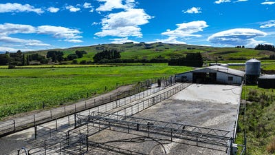 /international/nz/wendon-creek-road-riversdale-southland-380066080571/