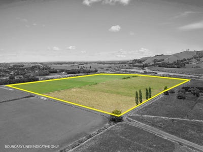/international/nz/160-domain-road-papamoa-tauranga-380066115561/