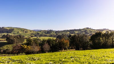 /international/nz/957-taotaoroa-road-cambridge-waipa-380066083853/