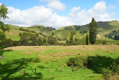 /international/nz/ruakituri-wairoa-380066120220/