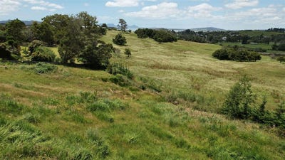 /international/nz/raumanga-whangarei-380066101754/