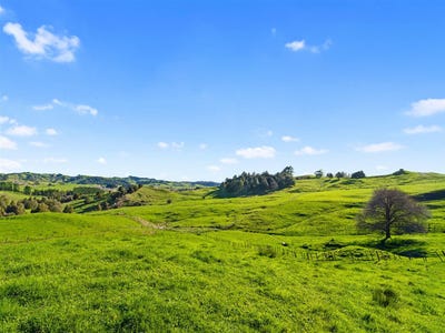/international/nz/92-adams-road-wainui-gisborne-380066118097/