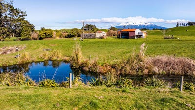 /international/nz/86-manganui-road-sections-stratford-taranaki-380066101046/