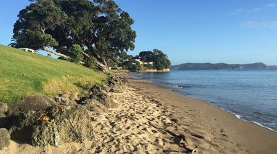 /international/nz/41-surf-view-crescent-red-beach-auckland-380066105660/